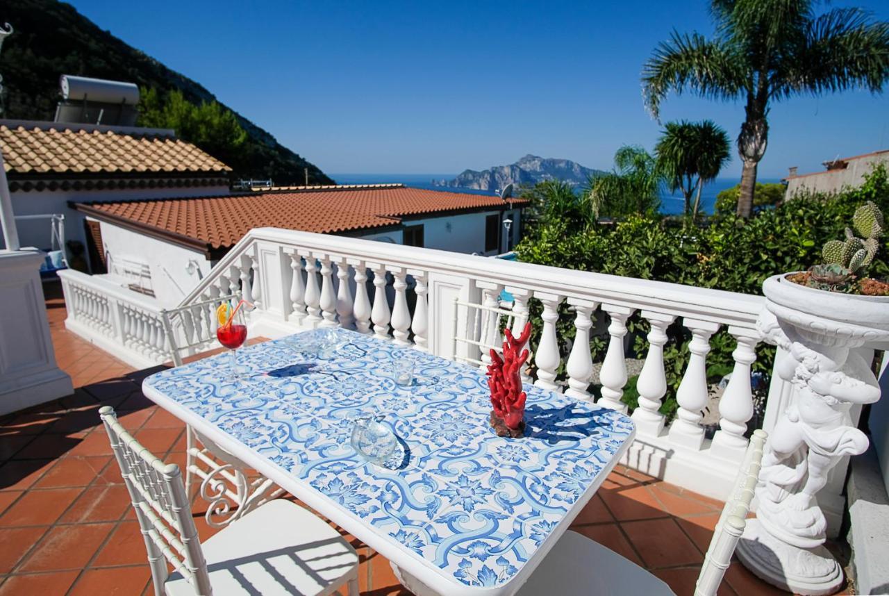 הוילה מסה לוברנסה The Garden On Capri מראה חיצוני תמונה